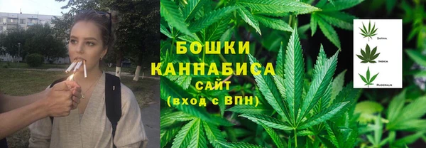 сатива Алексин