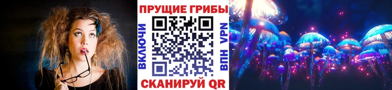 Псилоцибиновые грибы прущие грибы  Тогучин 